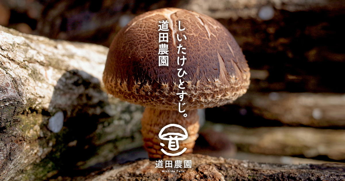 シイタケです 4972490720651.jpg?v=1750312739